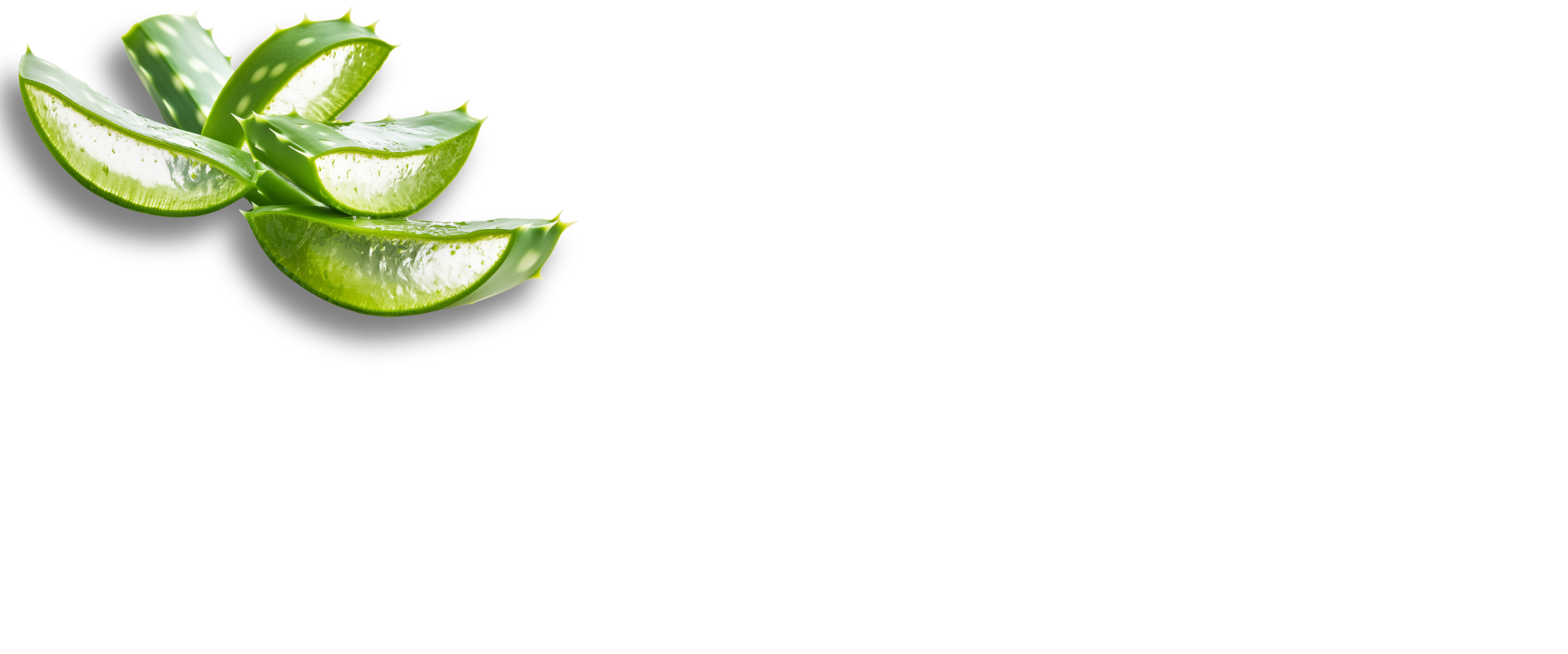 Sliced aloe vera leaves on a white background